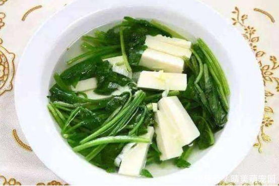  超级|超级好吃的几道家常菜，做法简单，营养美味 周末做给家人吃吧