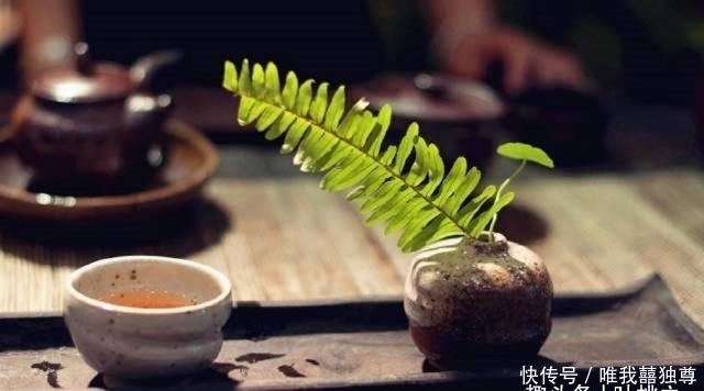 这样说话的人,就别再深交了,不值得