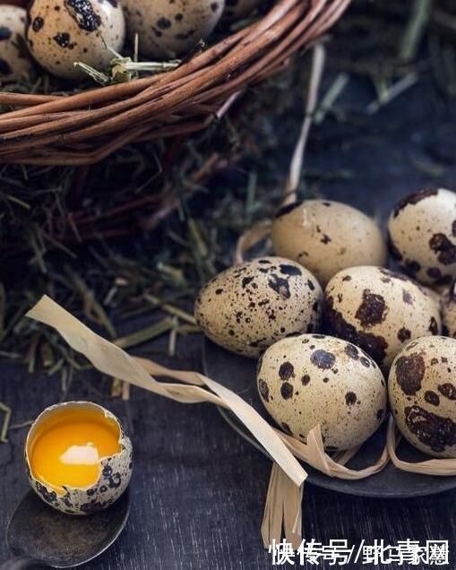 gt|她往花盆里加点这个,再也不怕积水烂根,3天黄叶变绿叶