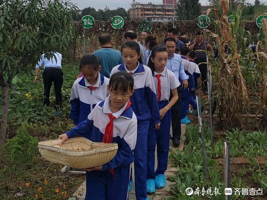 仲宫|摘花生、掰玉米，济南仲宫二仙小学劳动教育“收获金秋”