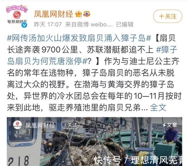 |讲个笑话汤加火山一喷发,獐子岛赢麻了!