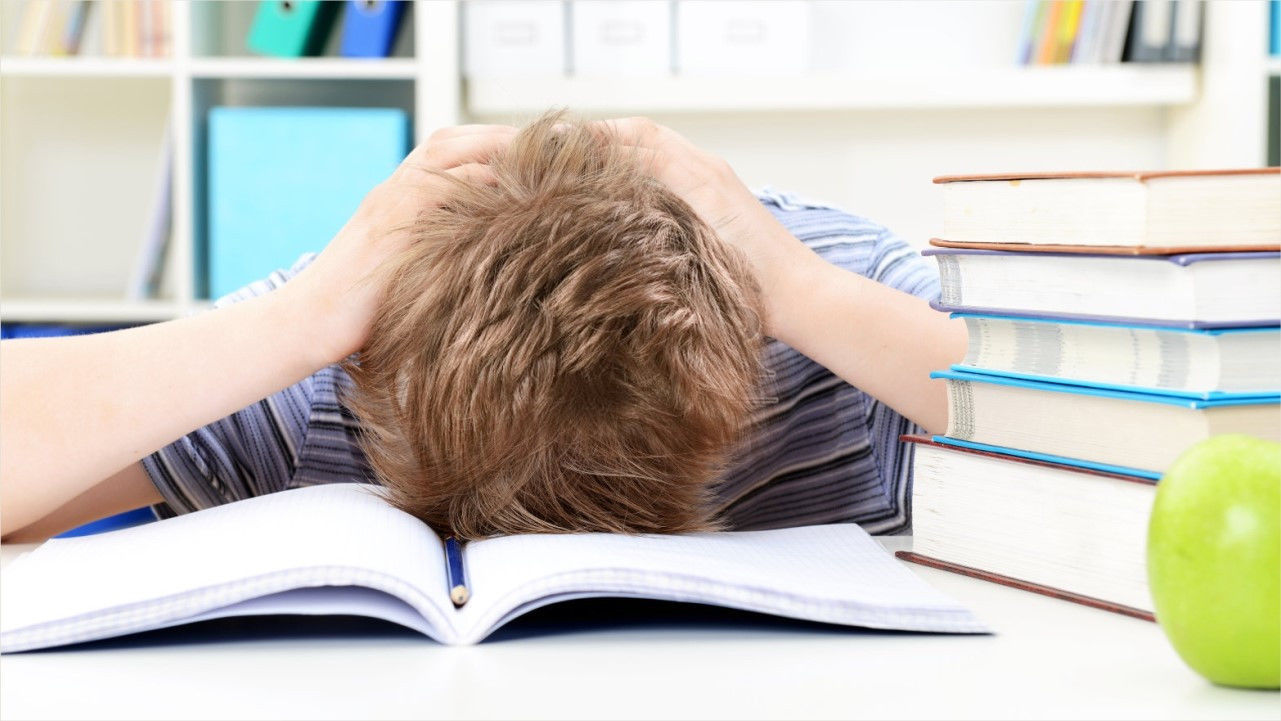 脊髓液|脑科学研究发现,男孩的三项能力容易落后于女孩,家长别怪他难教