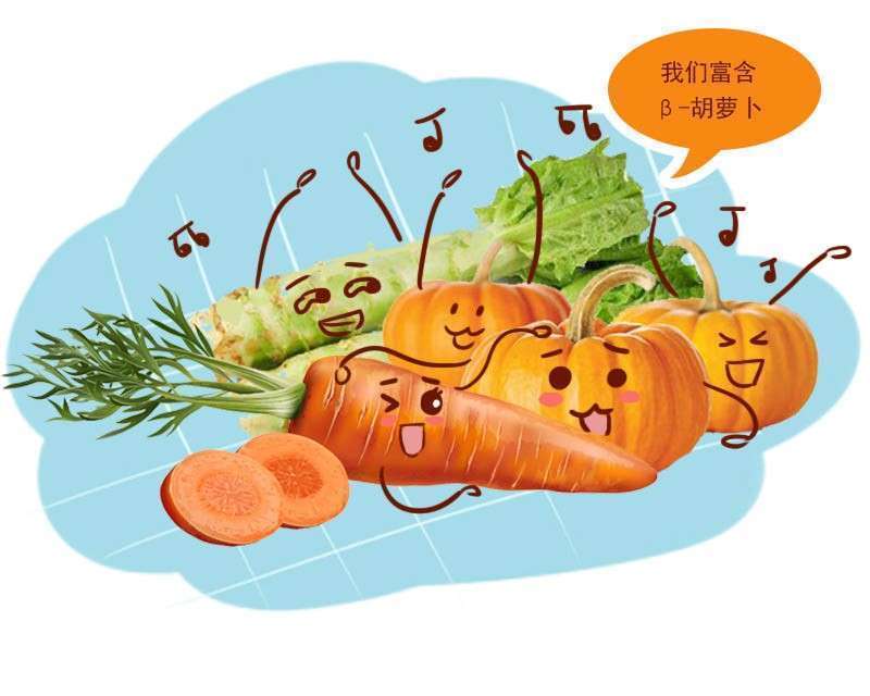 营养成分|春风又绿江南岸!最野的春天,可能就藏在这4道春菜里