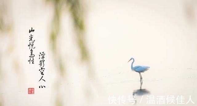 酌酒与裴迪#王维最“凉薄”的一首诗,写尽世态炎凉,读懂了你就释怀了