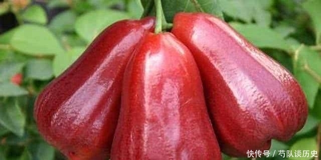 聰明的人愛吃3種食物,補(bǔ)充營養(yǎng)、延緩衰老,早吃早好!