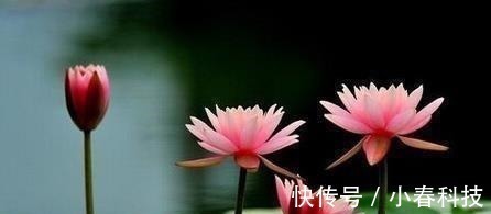 弱点!这五种事,烂在肚子里也不能对别人说,避免惹祸