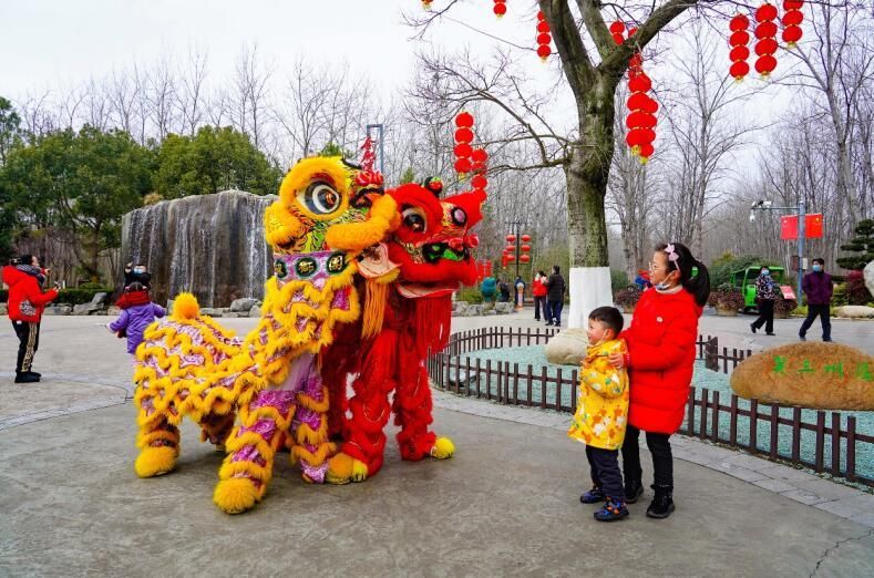 包河区|合肥市包河区：“虎”力全开年味足 市民游客乐享“文旅大餐”