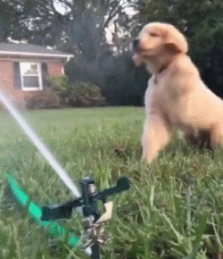 |精选搞笑GIF:这是我见过化妆化的最好的了,绝对的真材实料!