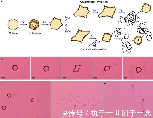 烷烃|Nature子刊:油滴“游泳”,姿势少见
