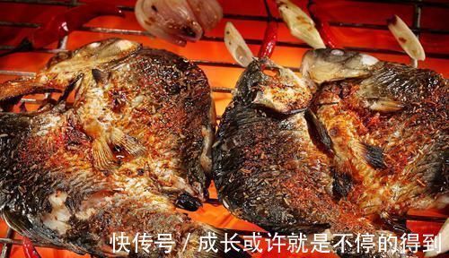 腌制|4种鱼,或是病菌的“仓库”,免费送也别要,发现了要立即扔掉