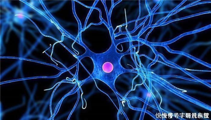 心血管疾病|105岁老人,大脑年龄才50岁,全靠这3个“好习惯”,做到一个也好