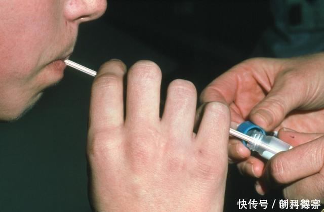杀菌先养胃！幽门螺杆菌“大宿敌”公布，若你常吃，胃好壮如牛