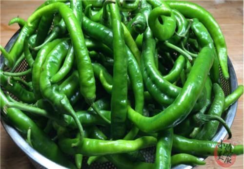 大厨|辣椒不要炒着吃了,大厨教你新吃法,开水里一煮,一次3斤都不够