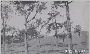 稀罕新老照片对比的比干庙几乎没人看见过太全了