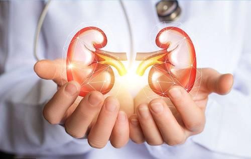 肾脏疾病|尿毒症是怎么引起的?医生提醒:或与这4个因素有关,劝你早改
