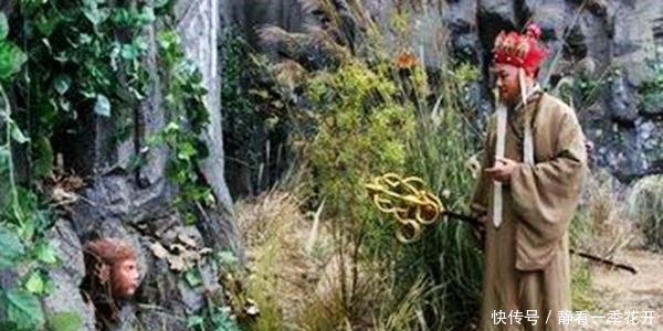  甩掉|孙悟空一直想甩掉唐僧, 如来说了这句话后, 他才真正愿意保唐僧的