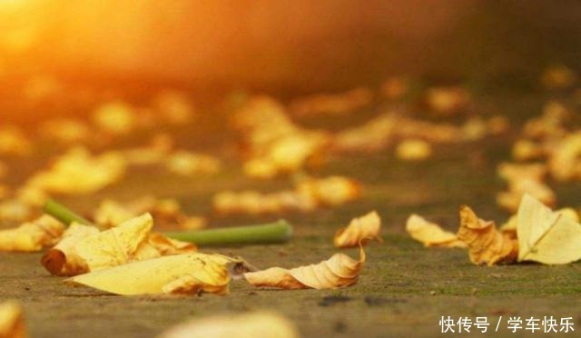 李白娶过两个丞相孙女,为何绝笔诗这么惨,流放时连岳丈都不帮他