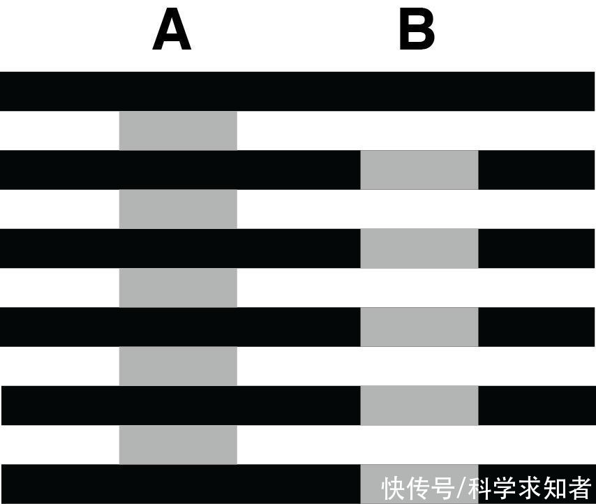 条带|恭喜你看错了，图中的12个小球，都是同一个颜色的