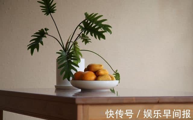 屋子里养花，要有9个讲究，这些是老一辈的经验，做错“难养活”