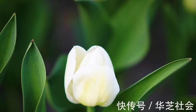 真言&多少人败在不会做人牢记四字真言,人生少有灾祸,福气不请自来