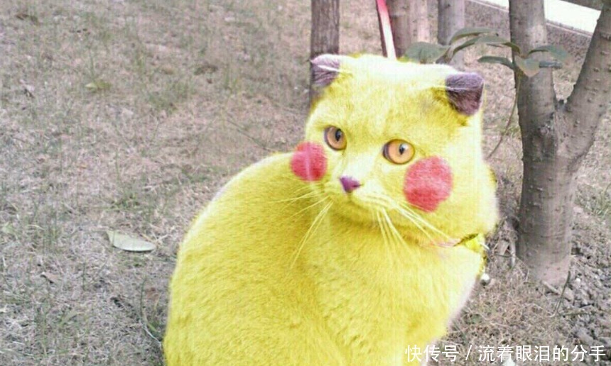 收下|某鱼上的这些沙雕卖家,请收下我的膝盖