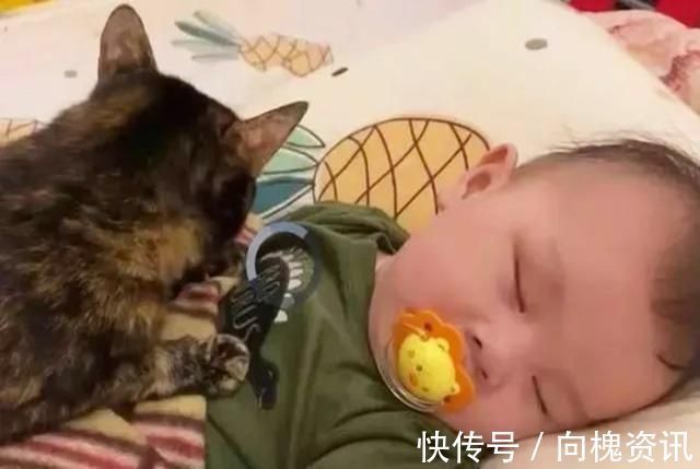 小宝宝|“婴儿一哭,宝妈叹气”,专家:爱哭的娃更聪明,要及时抱起来哄