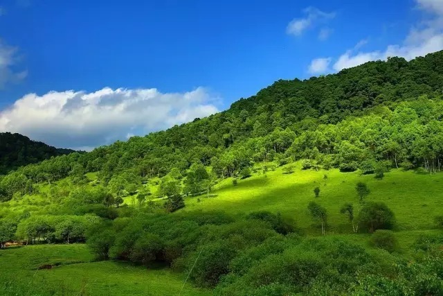 大水川|说走就走！西安周边这3大草原美翻了，你一定要去~