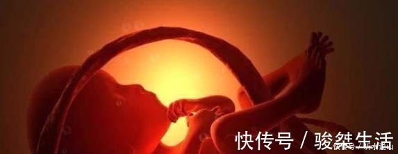 发育|孕期, 若有这3个“表现”, 恭喜你! 可能是个“高智商”宝宝!
