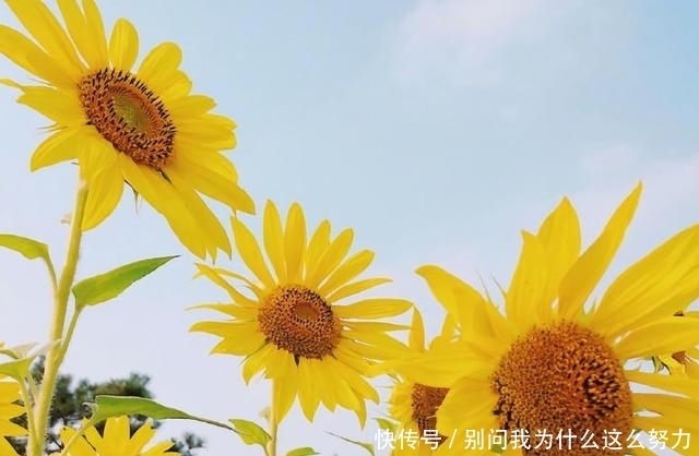 林清玄|林清玄:致富之道无他,惜缘、布施而已