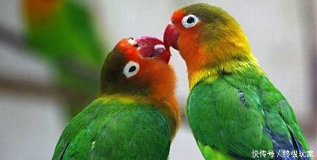 转阴|乙肝怕什么吗?87岁老爷子乙肝“转阴”的方法