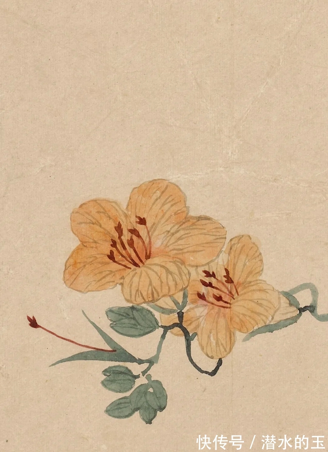 花卉图$汪士慎:一生心事为花忙丨私享艺术