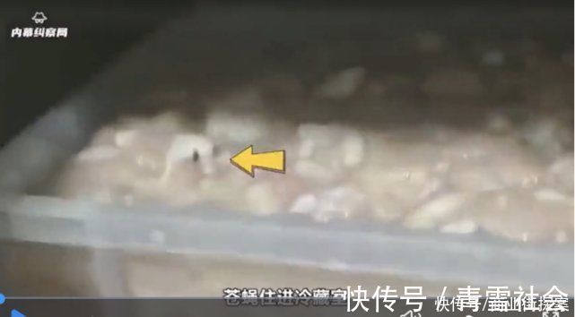 后厨|华莱士再曝“鸡肉里住苍蝇”，乡镇居民就活该吃“拉肚子套餐”？