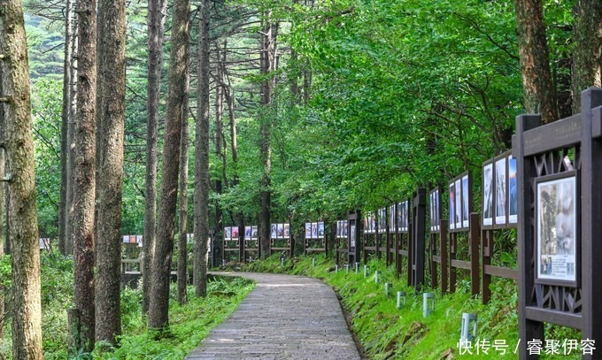 最佳日出观赏地，遇见难得的黄山云海，早起爬山也值得