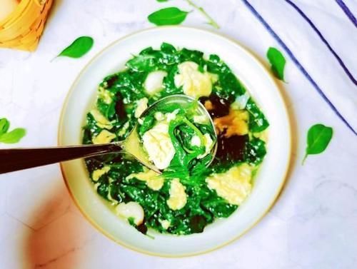 枸杞芽|天然的“护肝汤”发现了,简单煮一煮,养肝护肝,家人多吃都受益