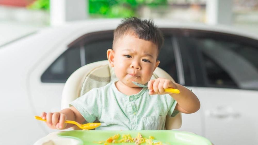 朱丹|应采儿回怼朱丹获网友点赞：孩子吃饭的样子，暴露了你的家庭教养