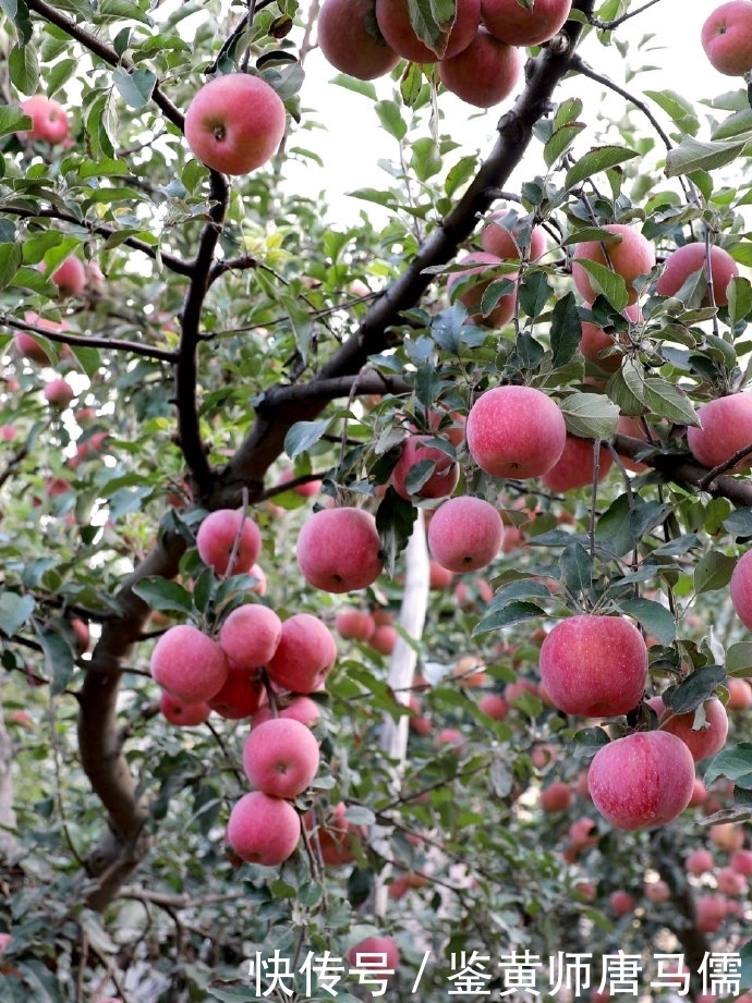 阿里巴巴|阿里巴巴还有一个神秘的“上市计划”跟你我都有关