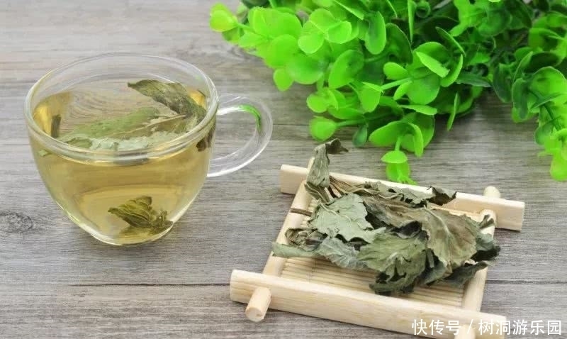 血管|高血脂不用愁,多吃这几样食物,帮你清血管降血脂,身体更健康