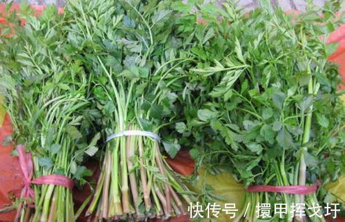 睡眠质量|十个女人9个妇科病，3种常见野菜，杀菌抑菌，安神，远离妇科病