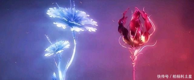 斗罗大陆都有哪些仙品药草竟全归唐三所有比比东要看哭了！