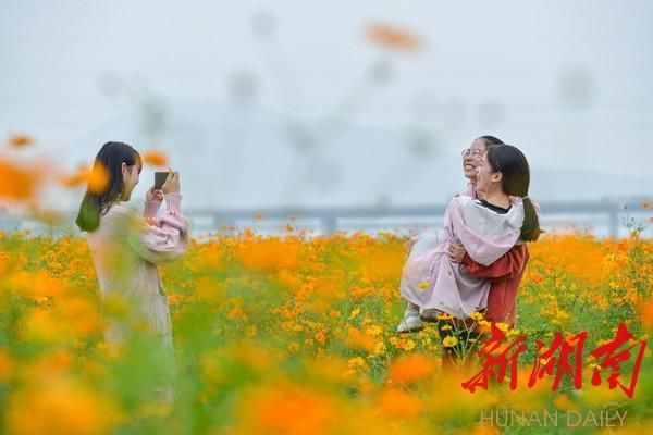 衡东：“湿地花海”护碧水