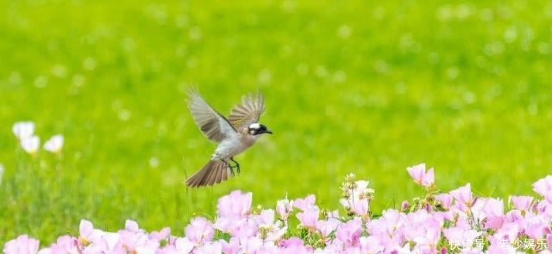 《全唐诗》中被严重低估的一首诗,从开篇美到结尾,值得我们一读