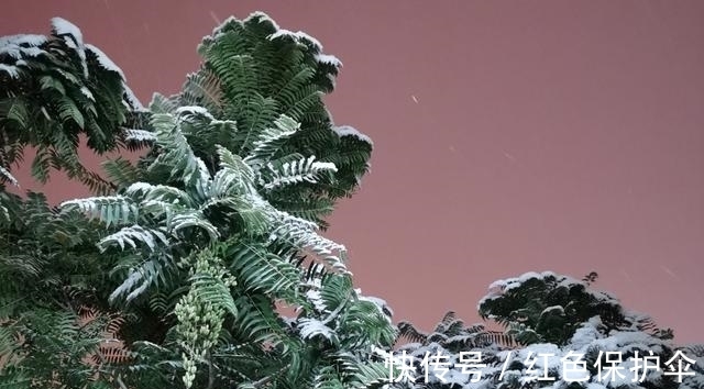 土象星座|摩羯座：必须洗净一切往事，轻装上阵，否则无法自由地看这个世界