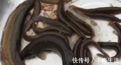 小伙用“泥鳅”疏通马桶,十分钟后再进入厕所,眼前画面让他捂鼻