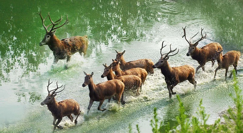老年|古代皇帝狩猎的围场,现在成为了全民参观游玩的旅游景点