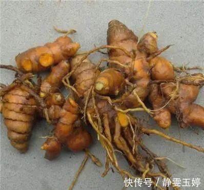 农村|农村山上一种“黄金”农村人都不吃,城里人稀罕的很