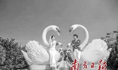 中年|南方日报:甜蜜蜜 牛哄哄