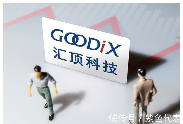 集成电路|中国“东数西算”真正的龙头:5大“芯片”企业,机构重仓持有!