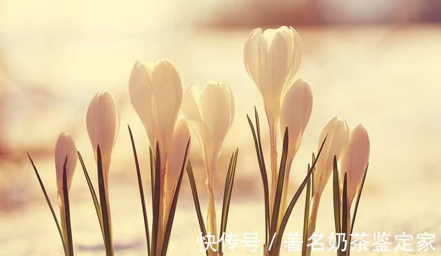 聊斋故事#聊斋故事:斗妾成仙