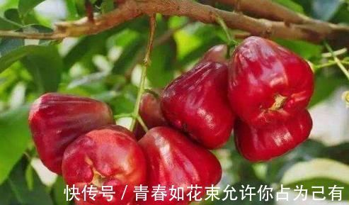 维生素e|女性多吃四种食物，排毒养颜延缓衰老，越吃子宫越干净，了解下