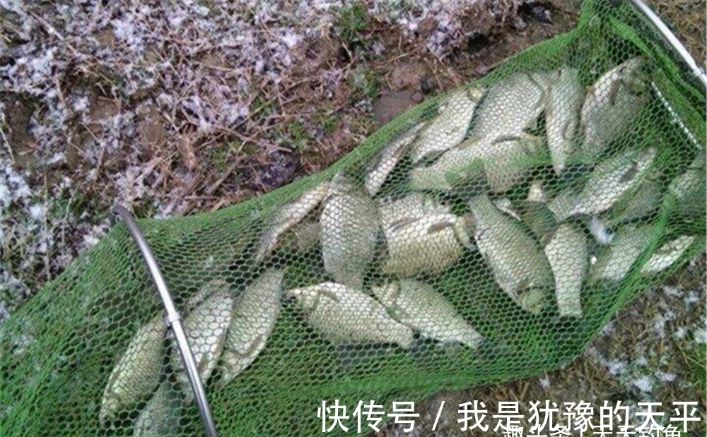 天气|大雪过后钓鱼，注意有2个变化，变化之中找规律，低温也能连竿